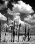 Intro to Infrared Photography