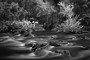 Infrared Photography - Converted Camera